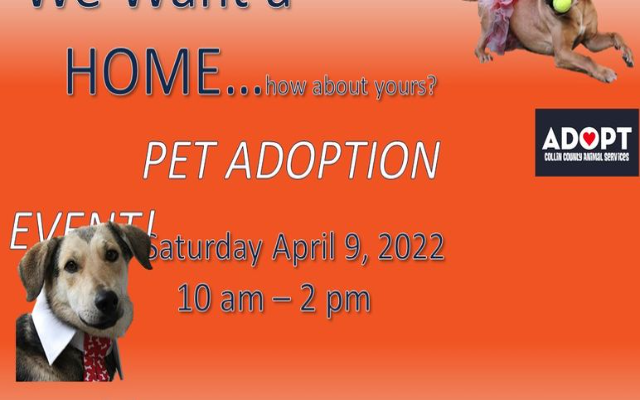 Pet Adoption Event April 9 2022